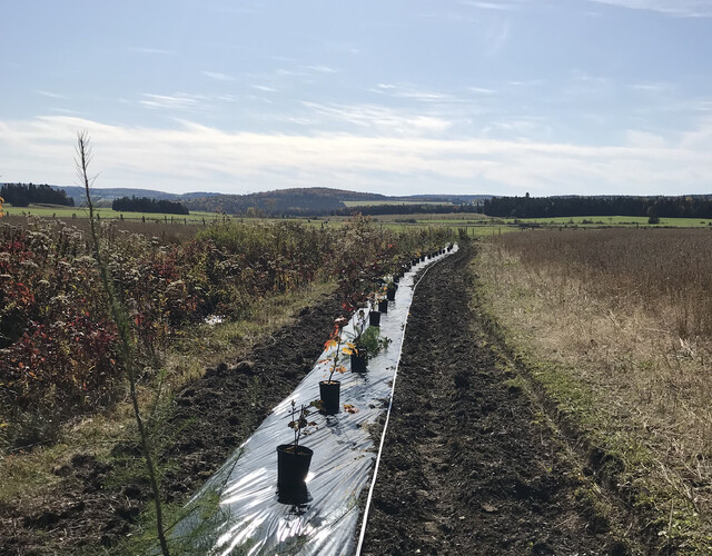 Lancement de l'appel de projets 2023 du Fonds pour l'amélioration de la qualité de l'eau