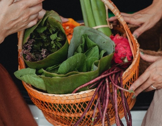 Une offre bonifiée de paniers de légumes locaux pour la saison estivale